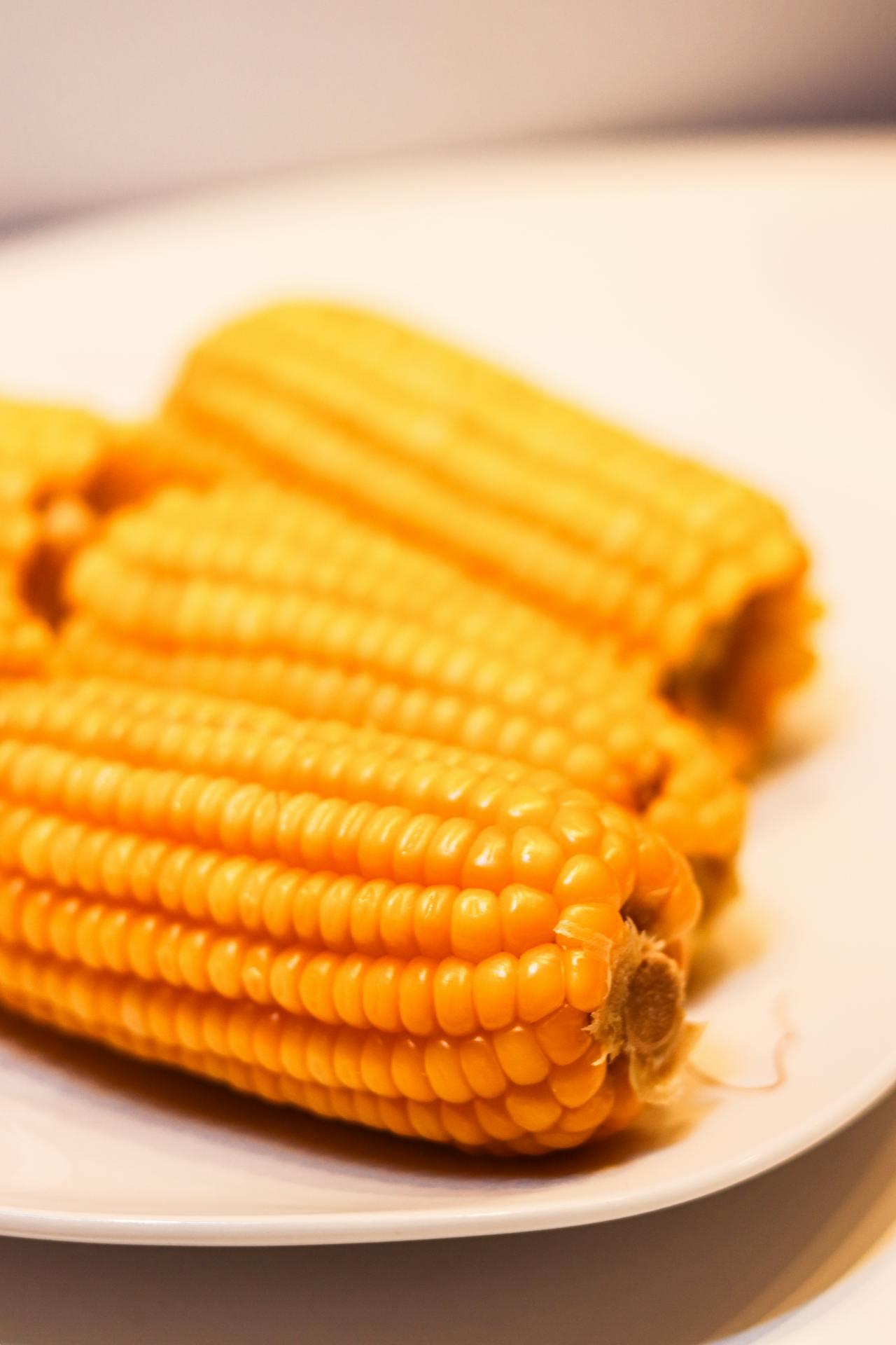 為什么煮玉米時(shí)，甜玉米比糯玉米熟得快？惠州食材配送中心為您科普